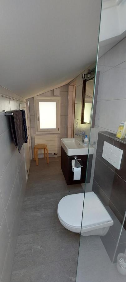 Chalet Sunnmaetteli ويلدرسويل المظهر الخارجي الصورة